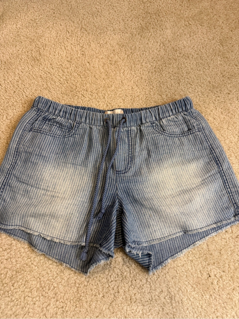 Altar’d Stare Casual Blue Striped Women's Drawstring Shorts